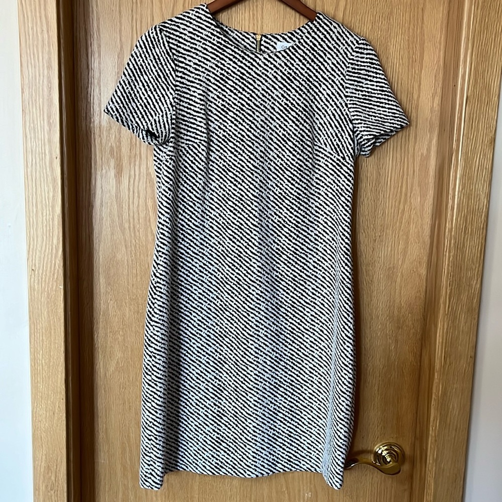 Calvin Klein Dress Black White Zipper Back Size 8